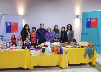 Más de 180 cupos para emprender abre el FOSIS para la región de Aysén