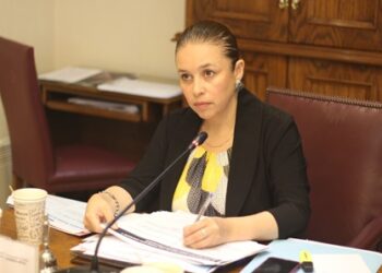 Crea el Plan Nacional Digital: Senadora Órdenes destacó que en Chile el acceso a Internet será garantizado por ley