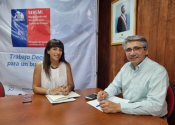 Comisión de Trabajo de la Cámara: Gobierno presenta proyecto de ley que facilita el pago de cotizaciones previsionales atrasadas para Pymes