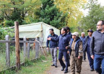Gobierno promueve beneficios del programa de Arborización de CONAF