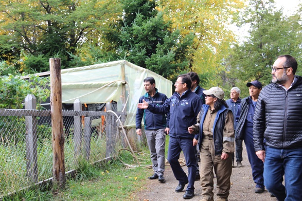 Gobierno promueve beneficios del programa de Arborización de CONAF