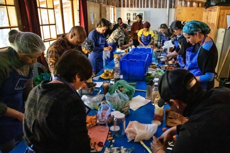 Puerto Guadal prepara 5° Festival de la Cosecha con curso de charcutería, y muestras de cocina con hongos, mosqueta, fermentados y oficios locales