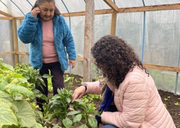 INÉDITO: PROGRAMA VÍNCULOS SE ADAPTA PARA INCLUIR A POBLADORA HISTÓRICA DE SECTOR RÍO PASCUA EN TORTEL  