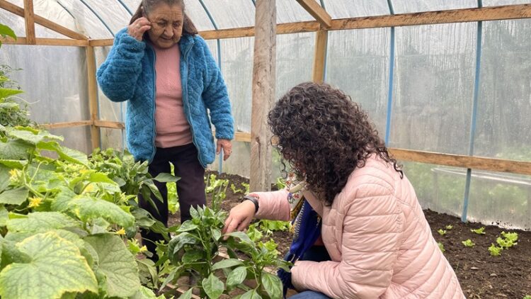 INÉDITO: PROGRAMA VÍNCULOS SE ADAPTA PARA INCLUIR A POBLADORA HISTÓRICA DE SECTOR RÍO PASCUA EN TORTEL