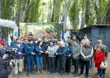 Más de 500 personas participaron de la “Expo Vendimia Chile Chico 2024”