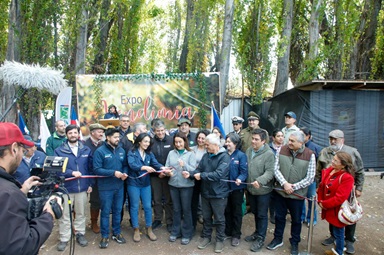 Más de 500 personas participaron de la “Expo Vendimia Chile Chico 2024”