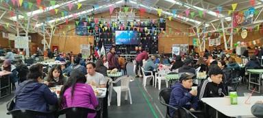 Finalizan con gran éxito las Fiestas Costumbristas de Puerto Puyuhuapi, con una alta concurrencia