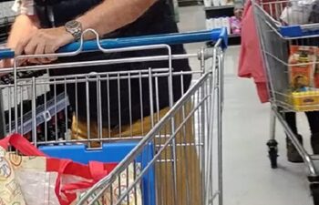 Imacec de 4,5% en el mes de febrero muestra expansión de la economía