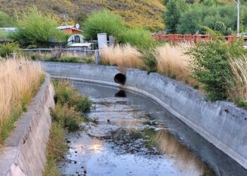 Aguas servidas en Puerto Guadal: Los episodios de malos olores y contaminación que ensucian la Perla del Lago
