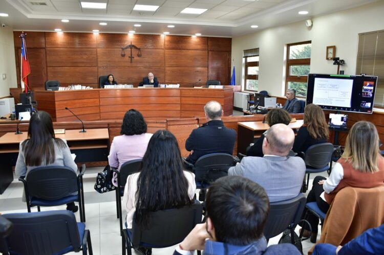 Corte de Apelaciones de Coyhaique y Academia Judicial organizaron seminario “Determinación, aplicación y ejecución de penas”