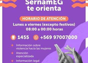Aumento del delito a nivel país: SernamEG interpone querella por tercer femicidio frustrado en Coyhaique en lo que va del año 