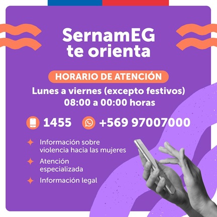Aumento del delito a nivel país: SernamEG interpone querella por tercer femicidio frustrado en Coyhaique en lo que va del año