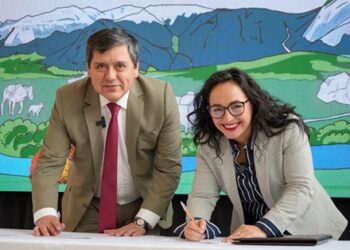 Gobierno Regional y Delegación Presidencial coordinarán entrega de leña en conjunto