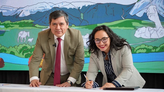 Gobierno Regional y Delegación Presidencial coordinarán entrega de leña en conjunto