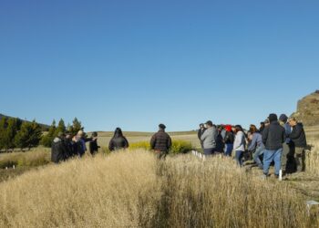 Investigadores destacan avances en programa para potenciar cultivos industriales en Aysén