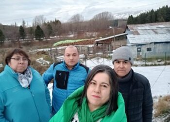 Concejales preocupados por cierre de Centro de Faenamiento Animal, decretado por Seremi de Salud en Cochrane.