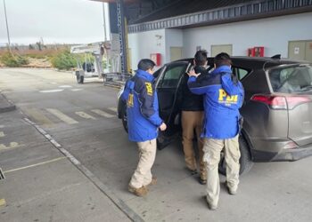 Expulsan a extranjero que ingresó con arma de fuego y munición por paso fronterizo de Chile Chico