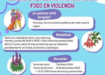 Inician diplomado en Transversalización de la Perspectiva de Género en la Gestión Municipal en la Región de Aysén