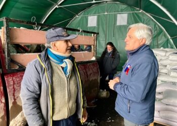 Programa de Desarrollo Territorial Indígena: Gobierno y Municipalidad de Coyhaique entregan recursos invernales para la agricultura familiar campesina