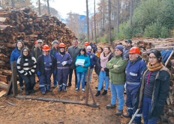 Municipio de Aysén, Gobierno Regional y Conaf inician entrega de leña a familias vulnerables