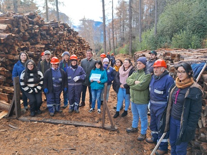 Municipio de Aysén, Gobierno Regional y Conaf inician entrega de leña a familias vulnerables