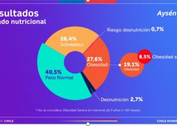 Mapa Nutricional Junaeb 2023: Aysén entre las regiones con mayor índice de obesidad en estudiantes en edad escolar