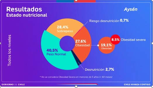 Mapa Nutricional Junaeb 2023: Aysén entre las regiones con mayor índice de obesidad en estudiantes en edad escolar