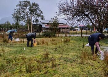 Con talleres para productores de la comuna avanza convenio entre Municipalidad de Cisnes e INIA