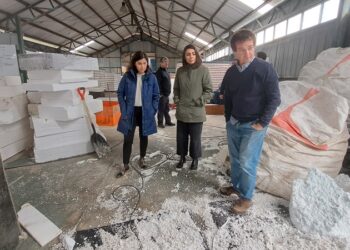 Transformando Residuos en Soluciones: Desarrollo de Paneles de Aislación Térmica con EPS de Salmoneras