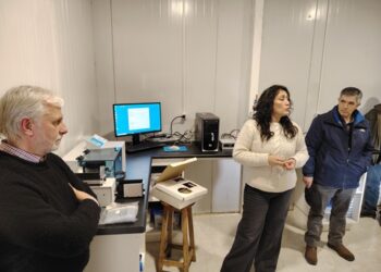 Estrategias innovadoras en genética y sanidad ganadera marcan jornada de INIA en Aysén