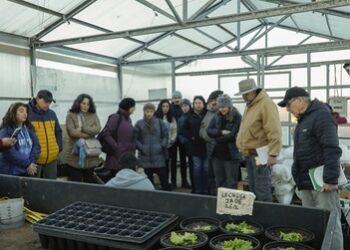 Grupos de Extensión Tecnológica de INIA en Agroecología y Frutales Menores Realizan Charla-Taller sobre Técnicas de Riego en INIA Tamel Aike