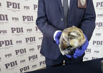 GOLPE AL NARCOTRÁFICO EN AYSÉN: DETENCIÓN DE DOS SUJETOS CON COCAÍNA