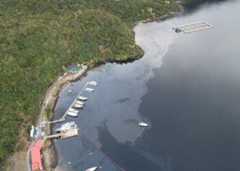 PDI confirma investigación por derrame de combustible en Puerto Chacabuco