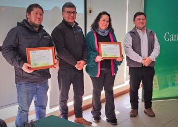 Concluye Proyecto de Innovación para Fortalecer la Industria del Aserrío en Aysén
