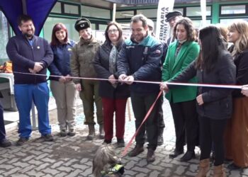 Municipalidad de Coyhaique inauguró la anhelada Veterinaria Comunitaria