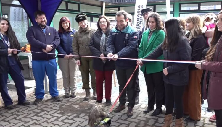 Municipalidad de Coyhaique inauguró la anhelada Veterinaria Comunitaria