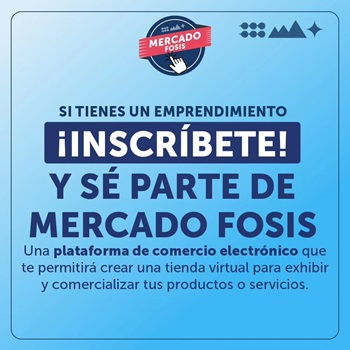Invitan a emprendimientos regionales a sumarse a plataforma de comercio virtual Mercado FOSIS