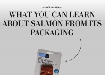 “Por alto riesgo ambiental”: The Washington Post y su alerta que recomienda evitar el consumo del salmón chileno