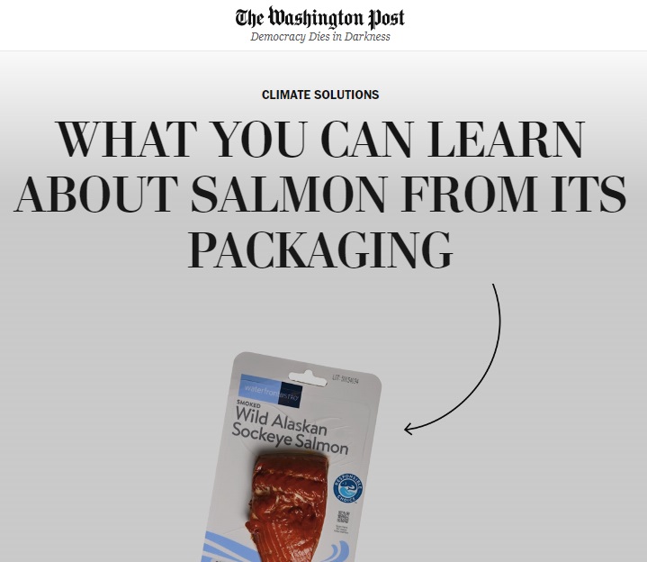 “Por alto riesgo ambiental”: The Washington Post y su alerta que recomienda evitar el consumo del salmón chileno
