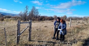 DESARROLLO SOCIAL Y FAMILIA EN AYSÉN DESTACA INGRESO DE 51 PROYECTOS DE INVERSIÓN PARA SER EVALUADAS ESTE 2024