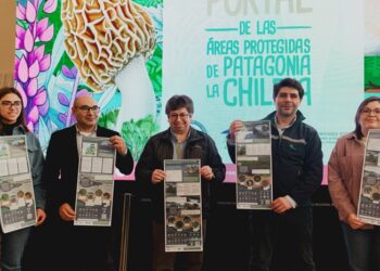 Lanzan infografías para difundir las áreas protegidas de Tortel, Río Ibáñez y Cisnes