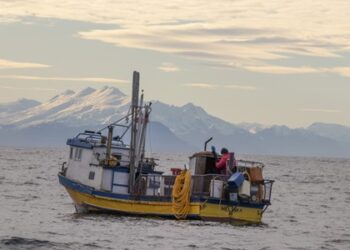 ACTORES LOCALES ASEGURAN QUE INICIATIVA QUE BUSCA CREAR UN ÁREA DE CONSERVACIÓN FORTALECERÁ EL DESARROLLO TURÍSTICO DE GUAITECAS