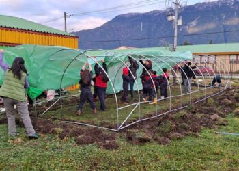 Colegio Sagrada Familia recibe un invernadero por parte de la Municipalidad de Aysén