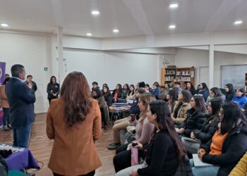 Funcionarios municipales de Aysén reciben capacitación de primeros auxilios psicológicos para la prevención del suicidio