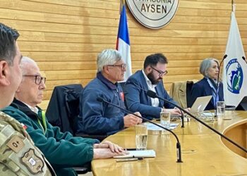Minagri desarrolla Comisión Intersectorial para la Conservación del Huemul y entrega balance de medidas ejecutadas