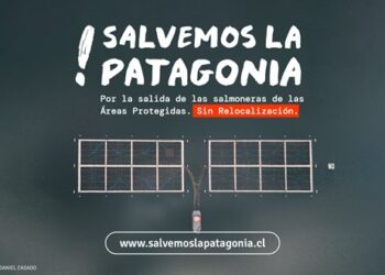 Salvemos la Patagonia: lanzan campaña para la salida de la industria salmonera de parques nacionales y reservas nacionales