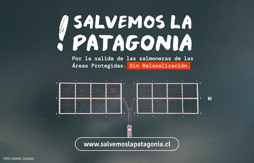 Salvemos la Patagonia: lanzan campaña para la salida de la industria salmonera de parques nacionales y reservas nacionales