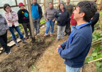 Agricultura Sostenible para Aysén: Mesa de Jóvenes Rurales de INDAP avanza hacia el futuro del campo