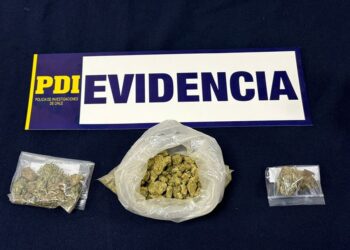 Puerto Aysén: PDI desarticula banda criminal dedicada al microtráfico de drogas