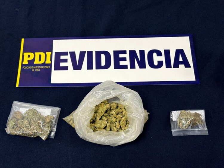 Puerto Aysén: PDI desarticula banda criminal dedicada al microtráfico de drogas